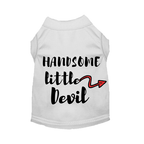 Handsome Little Devil