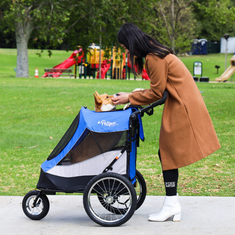 rain cover for pet joggers