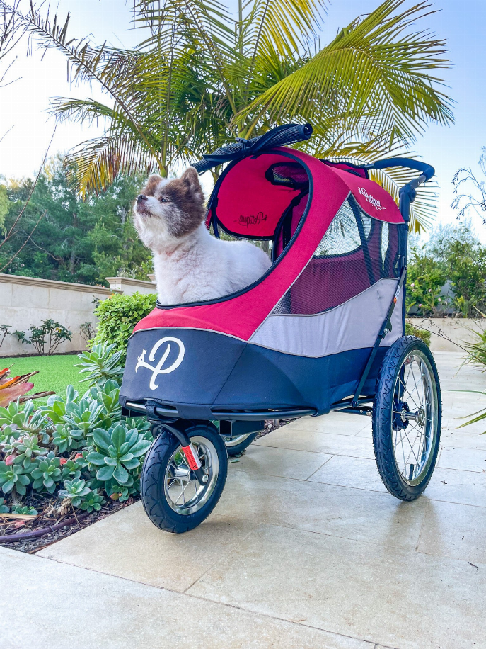 rain cover for pet joggers