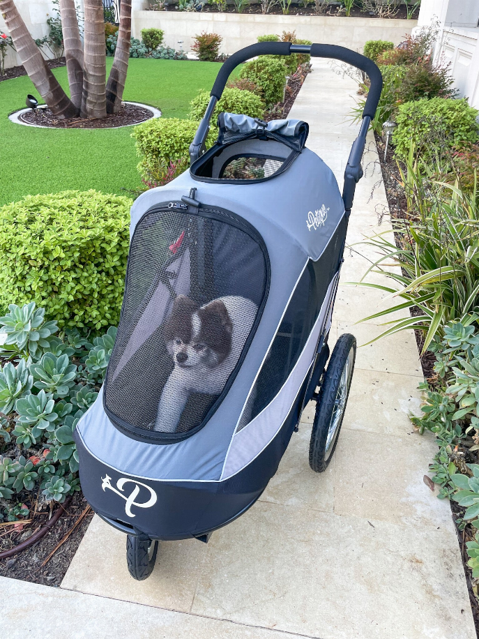 rain cover for pet joggers