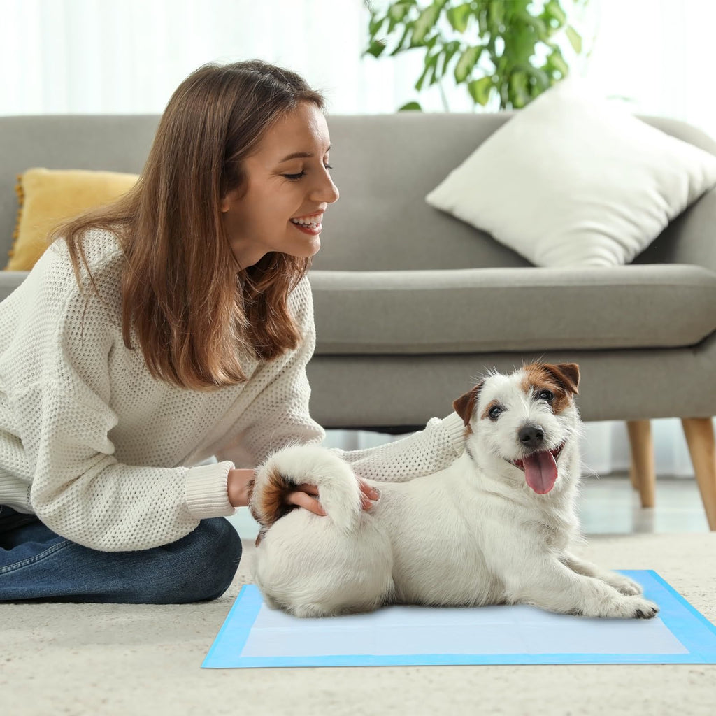 GoofyPet Premium Disposable Training Pads, Pee Pads, 23" x 23" Training Pad, 50 Count Disposable Puppy Pee Pads Quick Absorb and Odor Control Manufactured in US