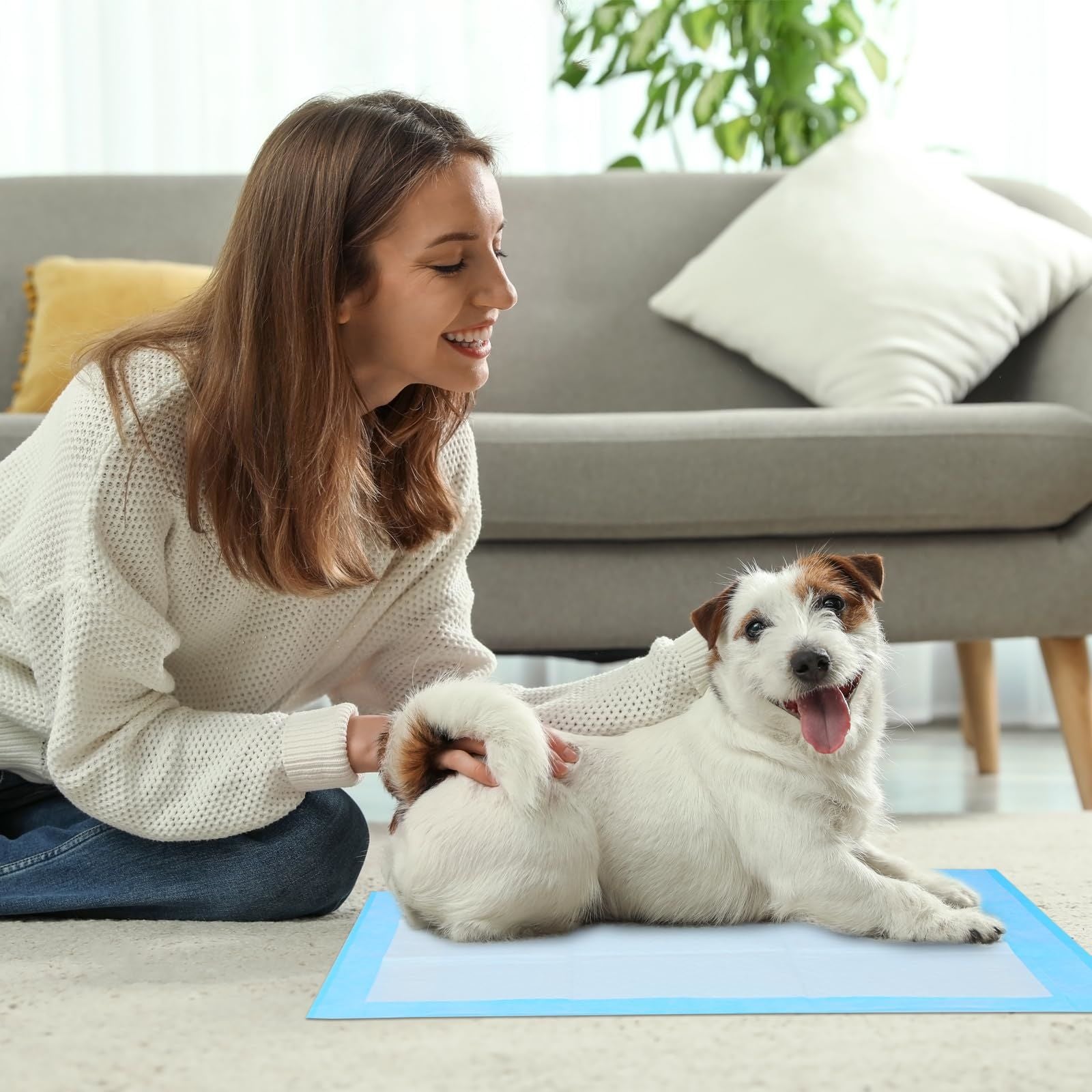 GoofyPet Premium Disposable Training Pads, Pee Pads, 23" x 23" Training Pad, 50 Count Disposable Puppy Pee Pads Quick Absorb and Odor Control Manufactured in US