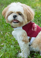 Touchdog Tough-Boutique Adjustable Fashion Dog Harness And Leash