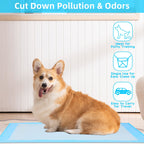 GoofyPet Premium Disposable Training Pads, Pee Pads, 23" x 23" Training Pads, 100 Count Disposable Puppy Pee Pads, Quick Absorb and Odor Control, Manufactured in US